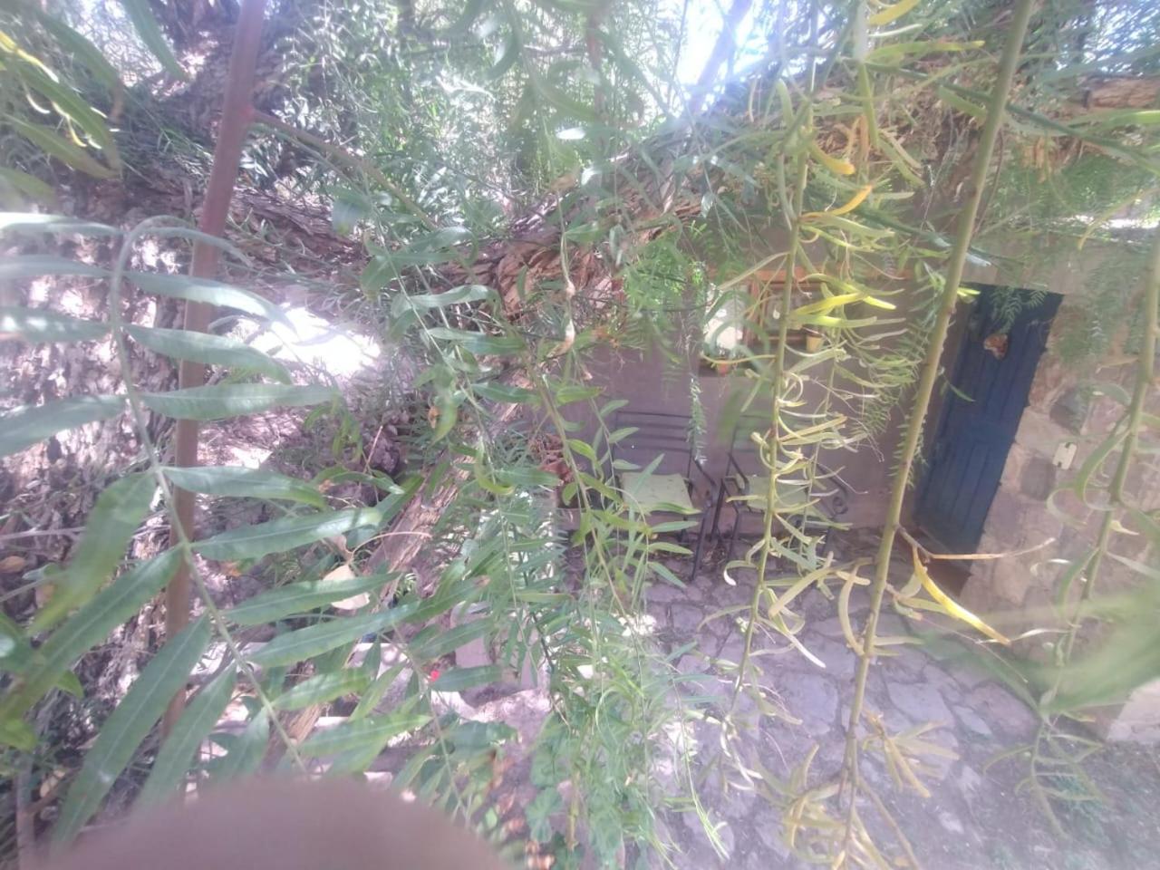 蒂尔卡拉 La Casita酒店 外观 照片